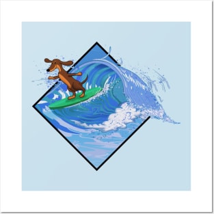 Dachshund dog surfing waves Posters and Art